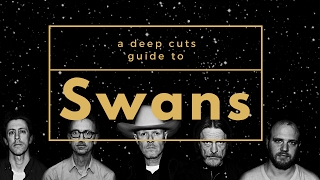 A Guide to SWANS [upl. by Merritt]