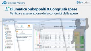 Verifica e asseverazione della congruità delle spese [upl. by Skippie]