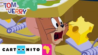 Funniest Moments  The Tom and Jerry Show  CartoonitoAfrica [upl. by Yunick]