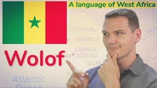 WOLOF An Intriguing Language of West Africa [upl. by Enyawal592]