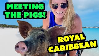 Swimming with the Pigs at CocoCay in the Bahamas [upl. by Olney]