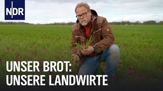 Naturschutz oder maximaler Ertrag So bauen Landwirte Getreide an  Unser Brot  NDR Doku [upl. by Tremml]