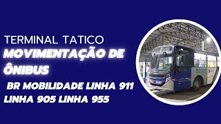 TERMINAL TATICO MOVIMENTAÇÃO DE ÔNIBUS BR MOBILIDADE LINHA 911 LINHA 905 LINHA 955 onibusazul [upl. by Oigroig]