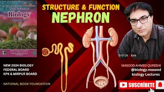 Nephron  Structure amp Function  biology  grade 12  Urdu Hindi English  Federal KPK Mirpur Board [upl. by Orestes190]