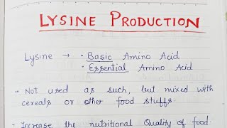 Lysine Production [upl. by Ernie]