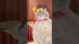 I did it 2  ping pong ball song funny pets funny cat animation  healing  재미있는 고양이 애니메이션 힐링샵 [upl. by Paolo]