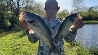 Mississippi bass amp bream catch and cook [upl. by Yhtnomit]