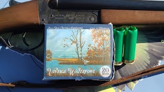 Salt Creek Vintage Waterfowl 12ga 25quot 118oz Bismuth 4 40yd Test W 1974 Stevens Model 311 [upl. by Nnewg434]