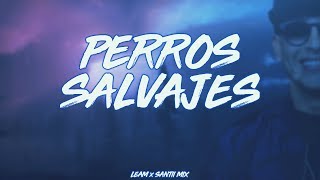 PERROS SALVAJES ✘ LEAM ✘ SANTII MIX [upl. by Sesilu]