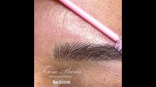 Realistic nano hair stroke brows [upl. by Eitsrik]