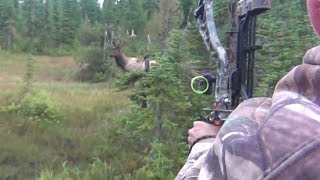 The best archery shots on video bowhunting  StuckNtheRut [upl. by Oinotna503]