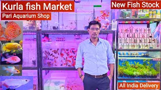 Pari Aquarium Shop Kurla fish Market Mumbai  New Shop New fish Stock  Guppy Shrimp Discus 🦐🐠 [upl. by Eanil]