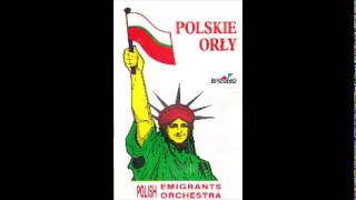 Wróżko czarodziejko  Kapela Polskie Orły [upl. by Soilissav494]