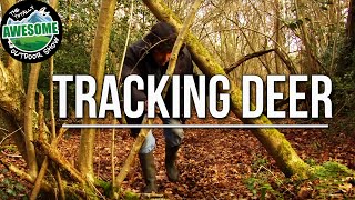 How to Track and Stalk wild Deer  TA Outdoors [upl. by Linea167]