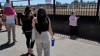 Horse Racing  Sonoma County Fair Santa Rosa CA 2022 081322 [upl. by Atinomar]