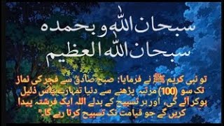 SubhanAllahi Wabi Hamdihi SubhanAllahil Azeem 100x  Best Daily Zikr [upl. by Assel]