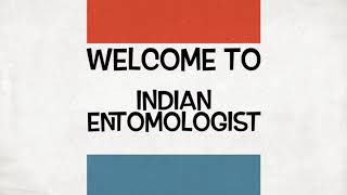 Welcome To Indian Entomologist [upl. by Bedell]