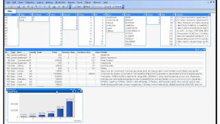 QlikView BI  Building Application Demo part 1 [upl. by Dlanger]