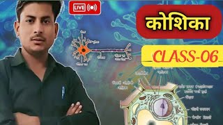 कोशिका के भाग Parts of a Cell CLASS6 by RK sir Alwar [upl. by Wendie]