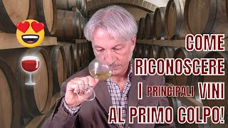 COME RICONOSCERE I PRINCIPALI VINI AL PRIMO COLPO senza leggere letichetta [upl. by Htiel]