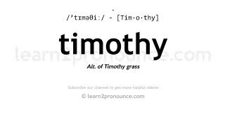 Pronunciation of Timothy  Definition of Timothy [upl. by Atiuqihc]