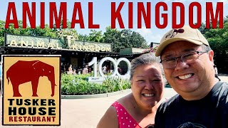 ANIMAL KINGDOM The Immersive Experience  Jambo House Resort amp Tusker House Buffet [upl. by Beka382]