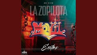 La Zopilota [upl. by Aineg]