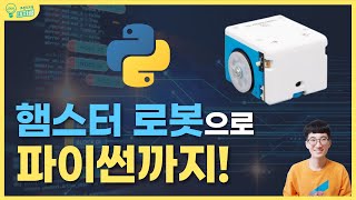 인공지능 코딩교구 햄스터 로봇으로 파이썬까지 [upl. by Akers15]