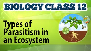 Types of Parasitism in an Ecosystem  Organisms and Environment 2  Biology Class 12 [upl. by Egbert]