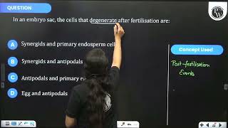 In an embryo sac the cells that degenerate after fertilisation are [upl. by Ard]