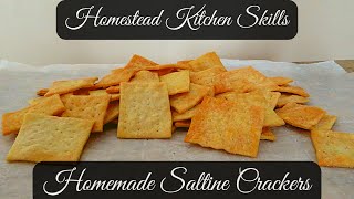 4 Ingredient Homemade Cracker Recipe  Homemade Saltine Crackers Recipe  Homestead Kitchen Skills [upl. by Haidadej]