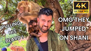 THE MONKEYS JUMPED ON SHANI amp PULLED HIS BEARD  A MUST SEE VLOG AT OUZOUD WATERFALLS 🇲🇦 [upl. by Obara612]