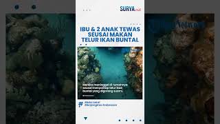 GEGARA Ikan Buntal Ibu dan 2 Anak di Maluku Tengah Tewas seusai Konsumsi Ikan Buatan Sang Suami [upl. by Everick311]