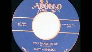 Andy Anderson  You Shake Me Up [upl. by Ire616]