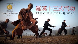 羅漢十三式气功 · 13 Luohan Style Qi Gong [upl. by Annoeik]