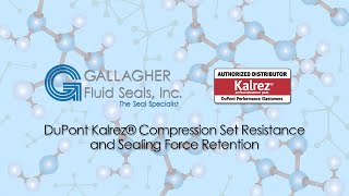 Kalrez® Compression Set Resistance and Sealing Force Retention [upl. by Alled]