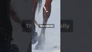 Shocking Facts About Clydesdale Horses [upl. by Floeter]