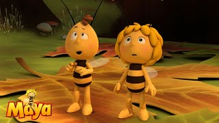 Who Ate the Dropping  Maya the Bee 🐝🍯🐝 [upl. by Sula]