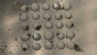 Heterogeneous nucleation of supercooled liquid water drops [upl. by Ferne]