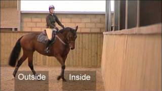 Flatwork Training for Showjumping [upl. by Ainex]