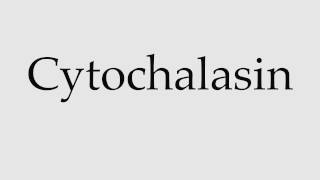 How to Pronounce Cytochalasin [upl. by Eissehc]