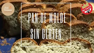 PAN DE MOLDE sin GLUTEN  sin TACC [upl. by Tekcirc]