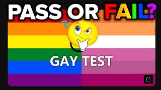 I Took The Gay Test ITS RIGGED [upl. by Leigha]