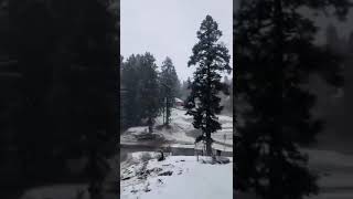 VIDEO Skiresort Gulmarg receives first snowfall of the winter season [upl. by Aikahc]