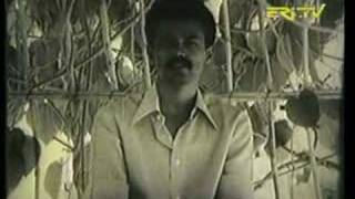 Eritrea  Isaias Afewerki in 1974 Self Reliance [upl. by Ameluz]