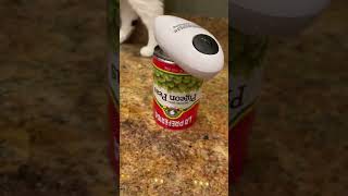 Greatest can opener ToolsInAction tools food canopener kitchen diy [upl. by Lanna]