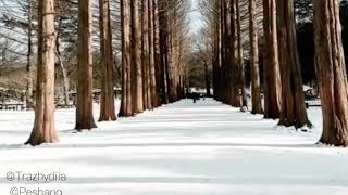 Winter Sonata RichardClayderman [upl. by Avilla]