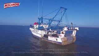 Frota da Pescanova leva o saboroso Camarão de Moçambique até à sua mesa [upl. by Niltiac821]