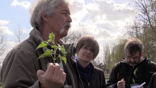 Lhortillon de la Lune à Amiens  JeanLouis Christen [upl. by Giesser]