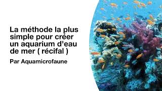 La méthode la plus simple pour créer un aquarium deau de mer  récifal [upl. by Candy]